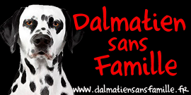 Dalmatien sans Famille
